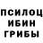 Галлюциногенные грибы Psilocybine cubensis Horomi