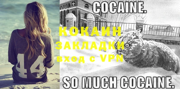 метадон Вяземский
