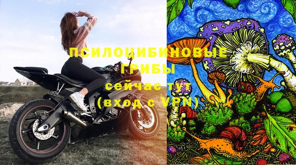 метадон Вяземский