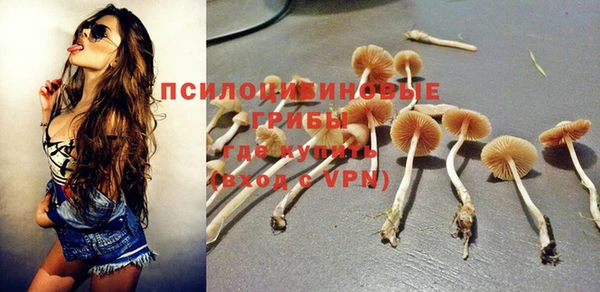 метадон Вяземский