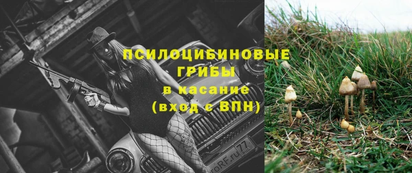 метадон Вяземский