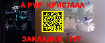 скорость Кингисепп