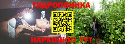 скорость Кингисепп