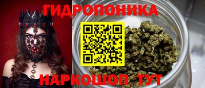 скорость Кингисепп