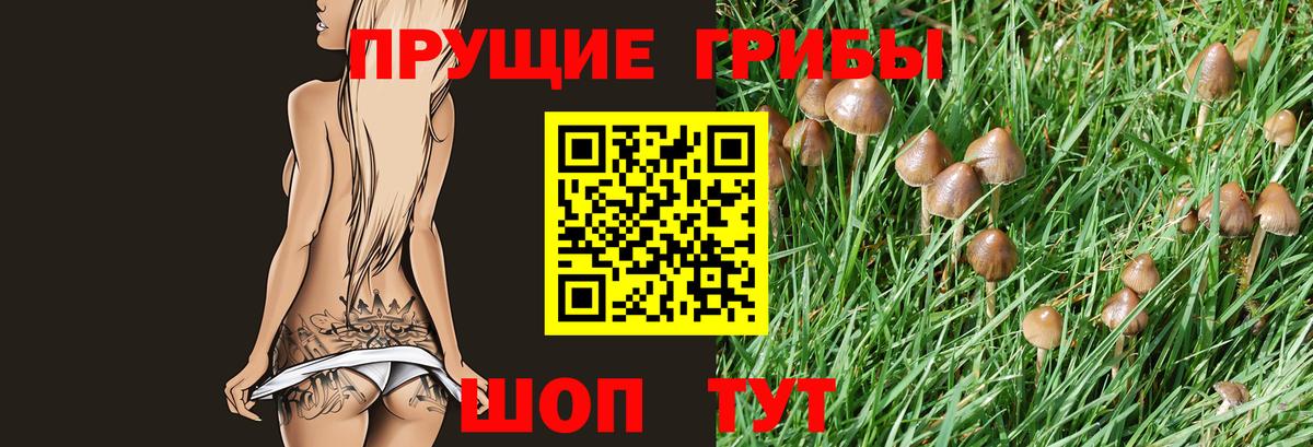 Галлюциногенные грибы Cubensis Наро-Фоминск