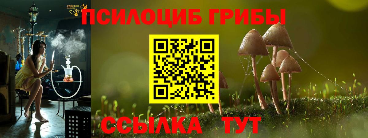 купить наркотики цена  Вход с VPN  Наро-Фоминск  Галлюциногенные грибы Psilocybine cubensis 