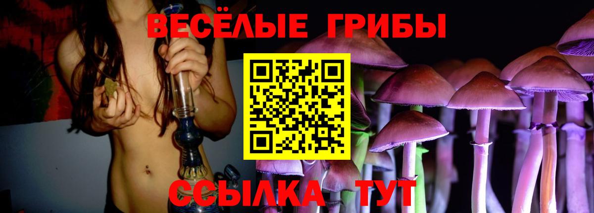 Галлюциногенные грибы ЛСД  цена   Галлюциногенные грибы Psilocybe  Наро-Фоминск 